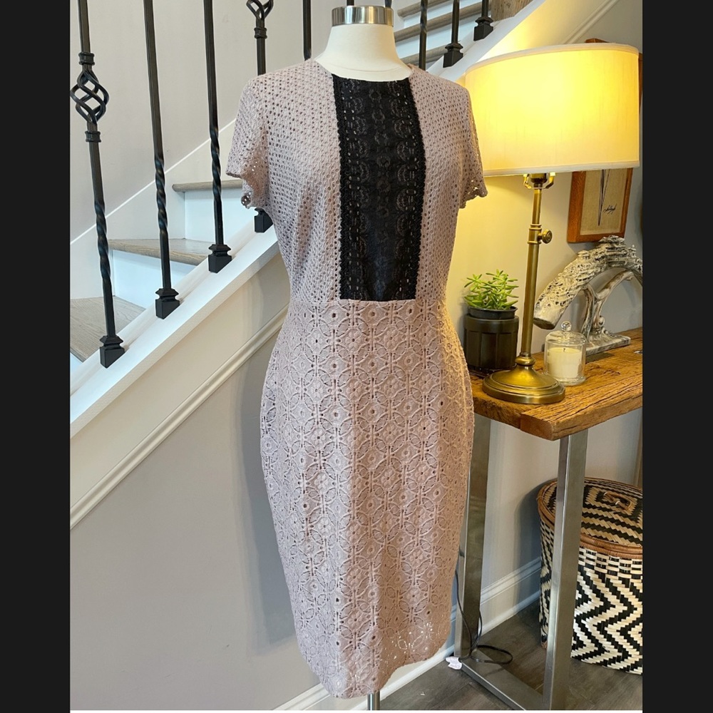 New York and Company Dress